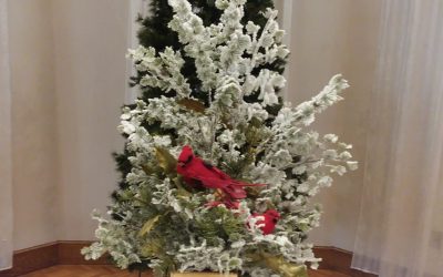 December 24 Order of Worship